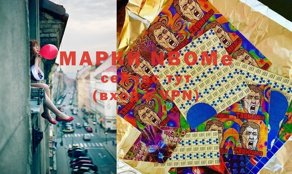 прущие грибы Медногорск