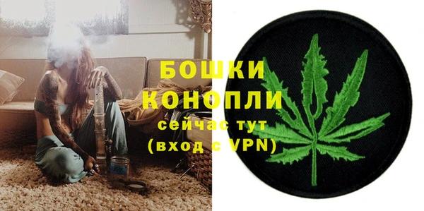 прущие грибы Медногорск