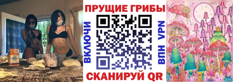 Галлюциногенные грибы Psilocybine cubensis  Поворино 